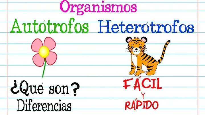 Ejemplos De Organismos Heterótrofos En México Mx 5349