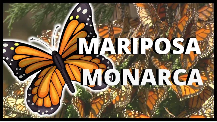 Mariposa Monarca en Vuelo